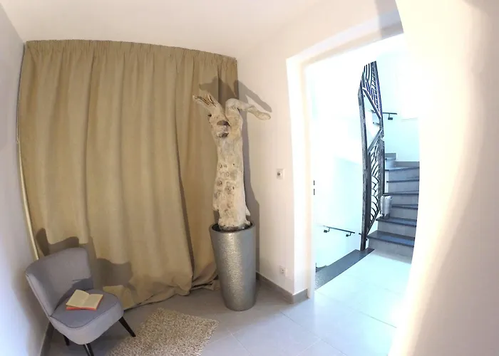 Le Cosimo